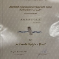 Powiększ obraz: certificate 22