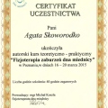 Powiększ obraz: certificate 10