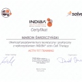 Powiększ obraz: certificate 6