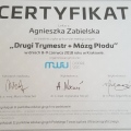 Powiększ obraz: certificate 7
