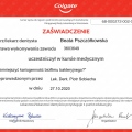 Powiększ obraz: certificate 3