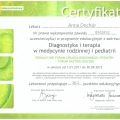 Powiększ obraz: certificate 45