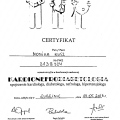 Powiększ obraz: certificate 9