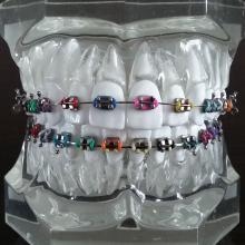 Powiększ obraz: Katarzyna Ostapczuk, stomatolog Biała Podlaska