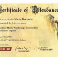 Powiększ obraz: certificate 4