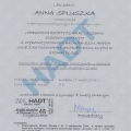 Powiększ obraz: certificate 5