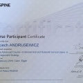 Powiększ obraz: certificate 1