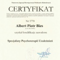Powiększ obraz: certificate 1