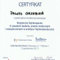 Powiększ obraz: certificate 11