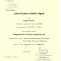 Powiększ obraz: certificate 2