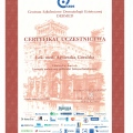 Powiększ obraz: certificate 43