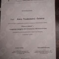 Powiększ obraz: certificate 4