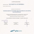 Powiększ obraz: certificate 11