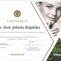 Powiększ obraz: certificate 2