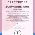 Powiększ obraz: certificate 5