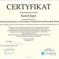 Powiększ obraz: certificate 6