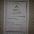Powiększ obraz: certificate 9
