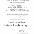 Powiększ obraz: certificate 3