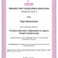 Powiększ obraz: certificate 3