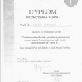 Powiększ obraz: certificate 71