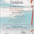 Powiększ obraz: certificate 2