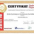 Powiększ obraz: certificate 2