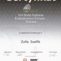 Powiększ obraz: certificate 1