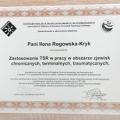 Powiększ obraz: certificate 7