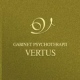 Gabinet Psychoterapii Vertus Magdaleny Romaniuk logo