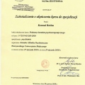 Powiększ obraz: certificate 7