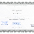 Powiększ obraz: certificate 4