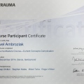Powiększ obraz: certificate 5