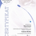 Powiększ obraz: certificate 8