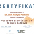 Powiększ obraz: certificate 8