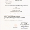 Powiększ obraz: certificate 1