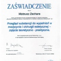 Powiększ obraz: certificate 13