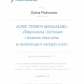 Powiększ obraz: certificate 2