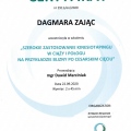 Powiększ obraz: certificate 7