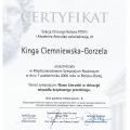 Powiększ obraz: certificate 1