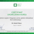 Powiększ obraz: certificate 4