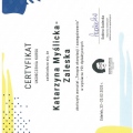 Powiększ obraz: certificate 9