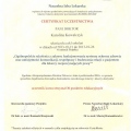 Powiększ obraz: certificate 19