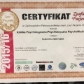 Powiększ obraz: certificate 4