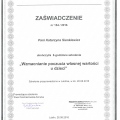 Powiększ obraz: certificate 31