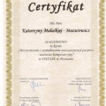 Powiększ obraz: certificate 8