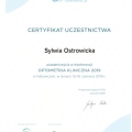 Powiększ obraz: certificate 6