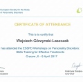 Powiększ obraz: certificate 3