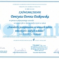 Powiększ obraz: certificate 7