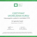 Powiększ obraz: certificate 11