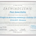 Powiększ obraz: certificate 34